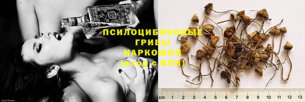 PSILOCYBIN Богородск