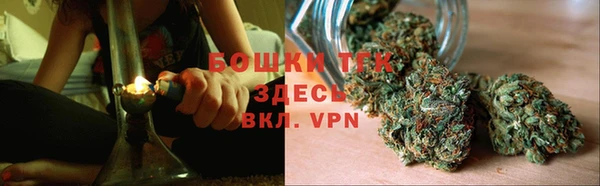 PSILOCYBIN Богородск