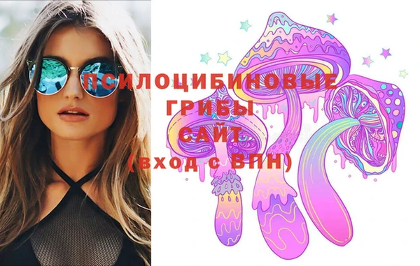 синтетический гашиш Богородицк